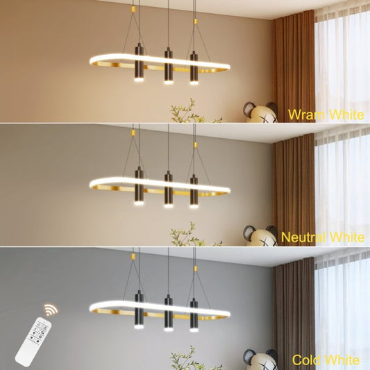 Modern LED Pendant Light – Custom Design for USA Customers